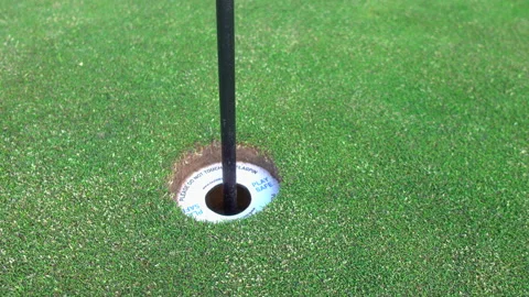 Social Distancing Golf 1 動画素材 134615221