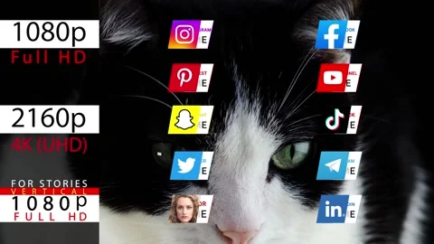 Social media lower thirds Stock After Effects