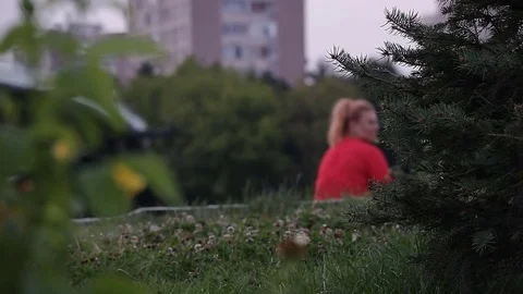Social Platforms Have A Serious Competitor In Public Gardens Stock Footage