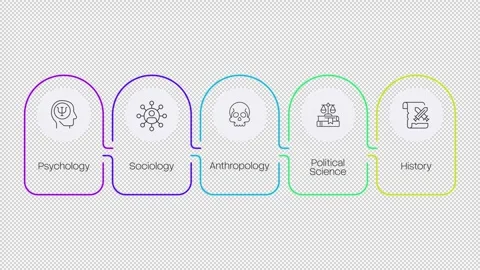 Social sciences linear timeline infographics animation Stock Footage 337776629