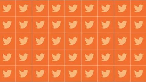Social Twitter icons pattern on network background Stock Footage 221305188