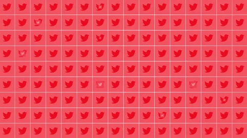 Social Twitter icons pattern on network background Stock Footage 221305249
