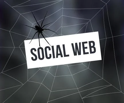 Social web spider web Stock Illustration