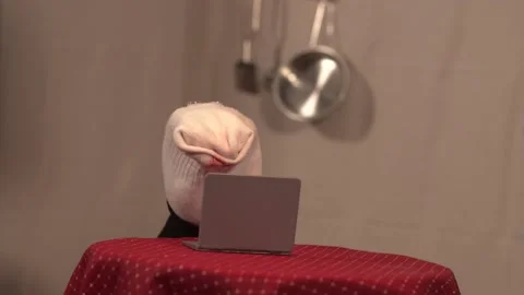 Sock Puppet Closes Laptop After Zoom Meeting Stock Footage 170721128