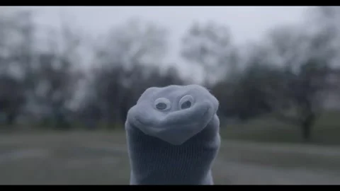 Sock Puppet Looking at Camera with Blurred Park Background Stock Footage 342149385