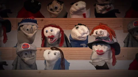 Sock Puppet School Assembly Stock Footage 170721205