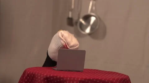 Sock Puppet Zoom Meeting Stock Footage 170721172