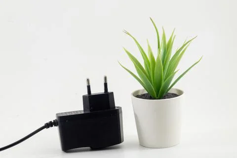 A socket 2 pin plug isolated on white background Foto stock