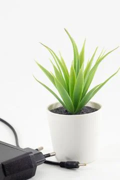 A socket 2 pin plug isolated on white background Stock Photos