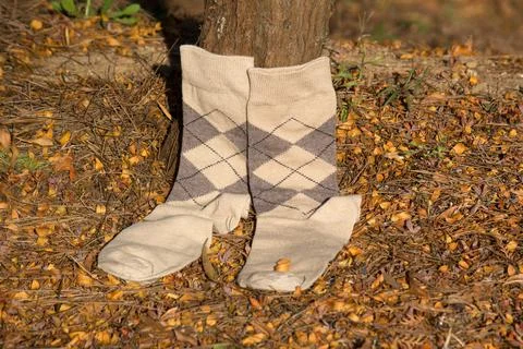 Socks in fall Foto stock