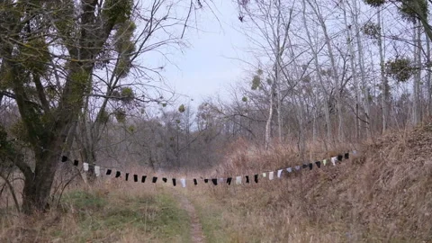 Socks in the wind hanging on rope to dry Stock Footage 167472420