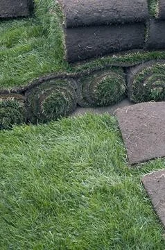 Sod on display Stock Photos