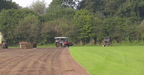 Sod harvest, stacking the grass on pallets Video stock 69246049