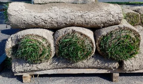 Sod Fotos de archivo