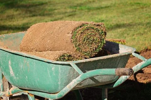 Sod roll cross section macro showing spiral soil and grass texture pattern Stock Photos