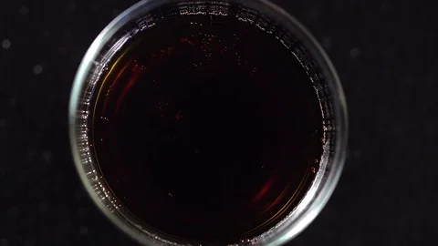 Soda bubling in the glass. Stock Footage 69937569