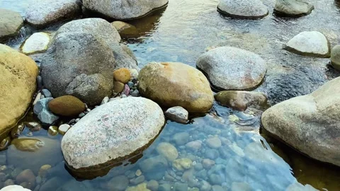 Soda can floating on rocky river stream left by tourist, environment pollution Vídeo Stock 333693849