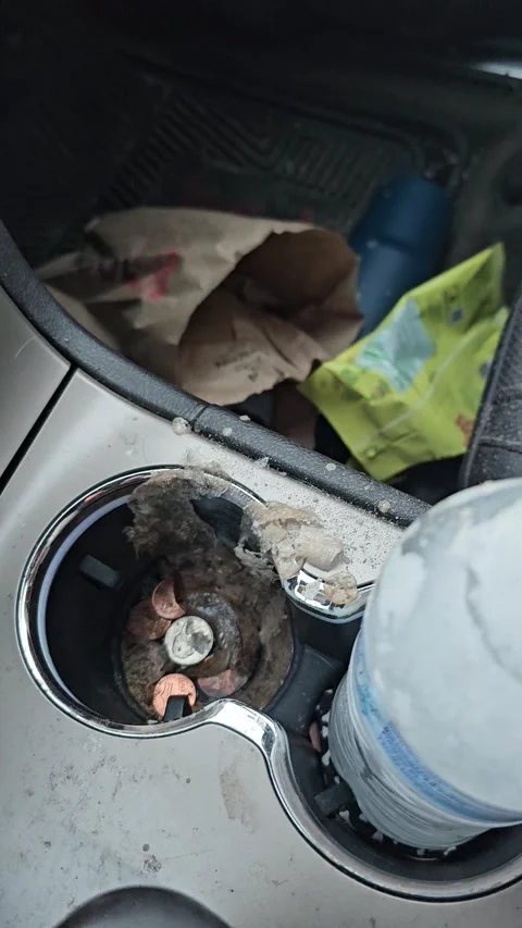Soda Can Left In Car Exploded In Cold Weather, Hartsville, Tennessee, USA - 17 J Stock Footage 262076771