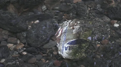 Soda can in river Video stock 27143467