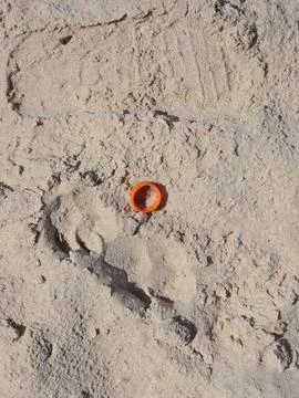 Soda cap in the sand Stock Photos