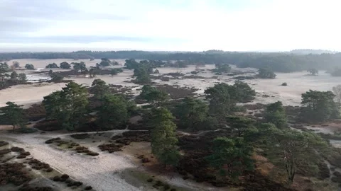 SoestDuin Dutch Forest Stock Footage 255840300
