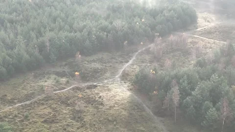SoestDuin Dutch Forest Stock Footage 255840316