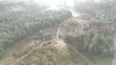 SoestDuin Dutch Forest Stock Footage 255840323