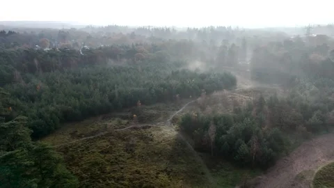 SoestDuin Dutch Forest Stock Footage 255840324