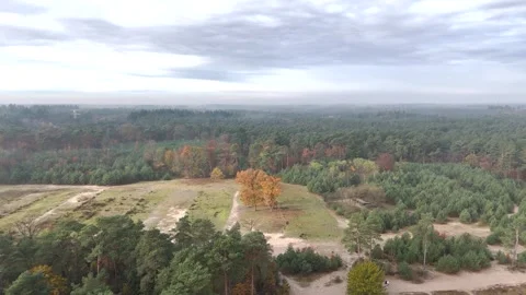 SoestDuin Dutch Forest Stock Footage 255840354