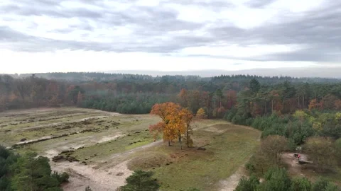 SoestDuin Dutch Forest Stock Footage 255840418