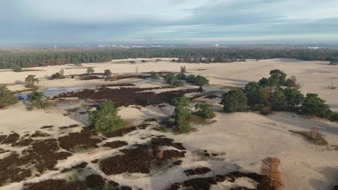 SoestDuin Dutch Forest Stock Footage 255840478