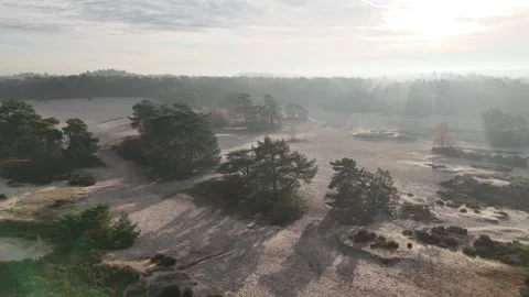 SoestDuin Dutch Forest Stock Footage 255840514