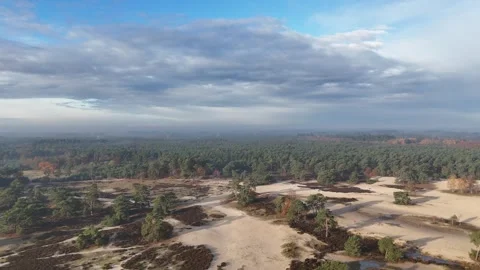 SoestDuin Dutch Forest Stock Footage 255840526