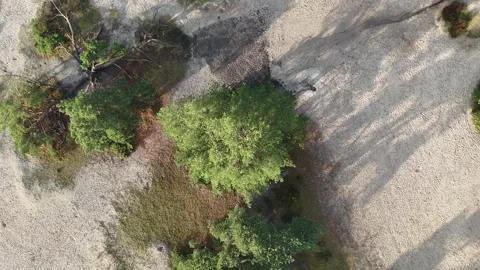 SoestDuin Dutch Forest Stock Footage 255840529