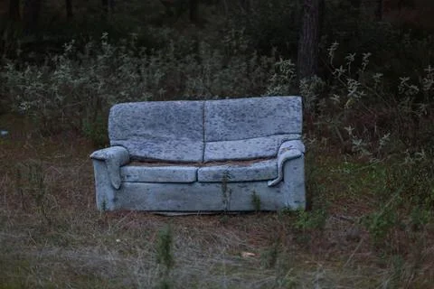Sofa abandoned in the forest. Stock Photos