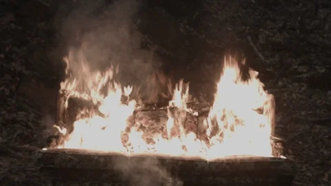 Sofa burning in the middle of the woods up in flames Stock Footage 86220325