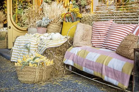 Sofa with cushions, surrounded by a basket of corn, pumpkins, and wheat sheav Stock Photos