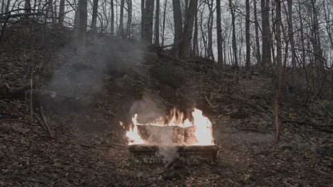 A Sofa on Fire in the middle of the woods Stock Footage 86220331