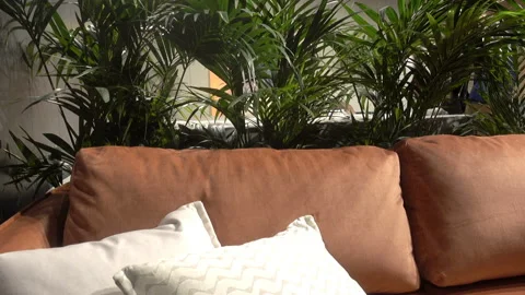 Sofa with pillows and plants in 4K Stock Footage 152465601