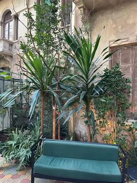 Sofa in a tropical setting Stock Photos