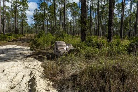 Sofa in the Woods Stock Photos