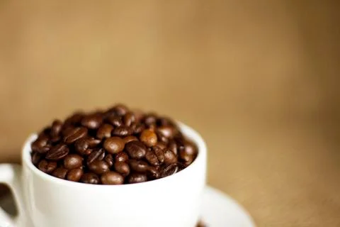 Сoffee beans in a cup Stock Photos