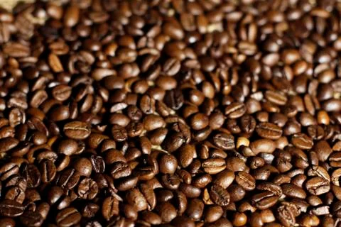 Сoffee beans  Stock Photos