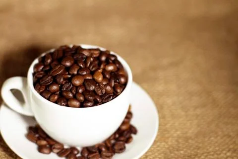 Сoffee beans in a white cup Stock Photos