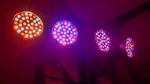 Soffits. Light and music. Multi-colored lanterns. Festive light. Vídeo Stock 143989273