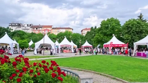 Sofia, Bulgaria - 06.06.2026. Annual Book Fair in front of the National Palace Stock Footage 336716063