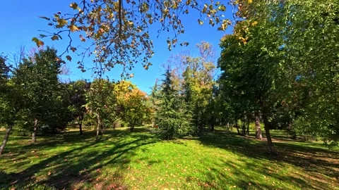 Sofia, Bulgaria - 10.19.2025. Autumn scene in Borisova Gradina Park with a Stock Footage 322008540