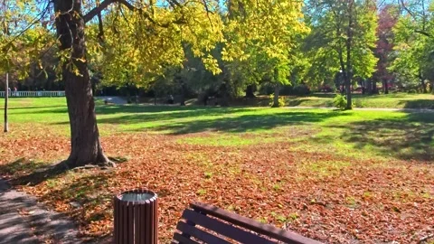 Sofia, Bulgaria - 10.19.2025. Empty bench in Borisova Gradina Park on a sunny Stock Footage 320178199