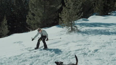 Sofia, Bulgaria 23 February 2017: Freestyle skier performs a big jump and fall Stock Footage 141908295