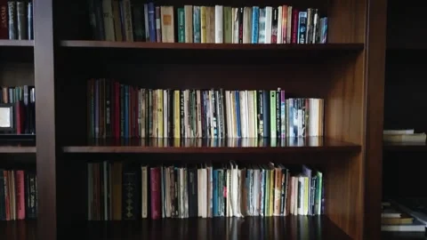 Sofia, Bulgaria - Mar 12, 2025: Books neatly organized across wooden shelves  Stock Footage 320972379